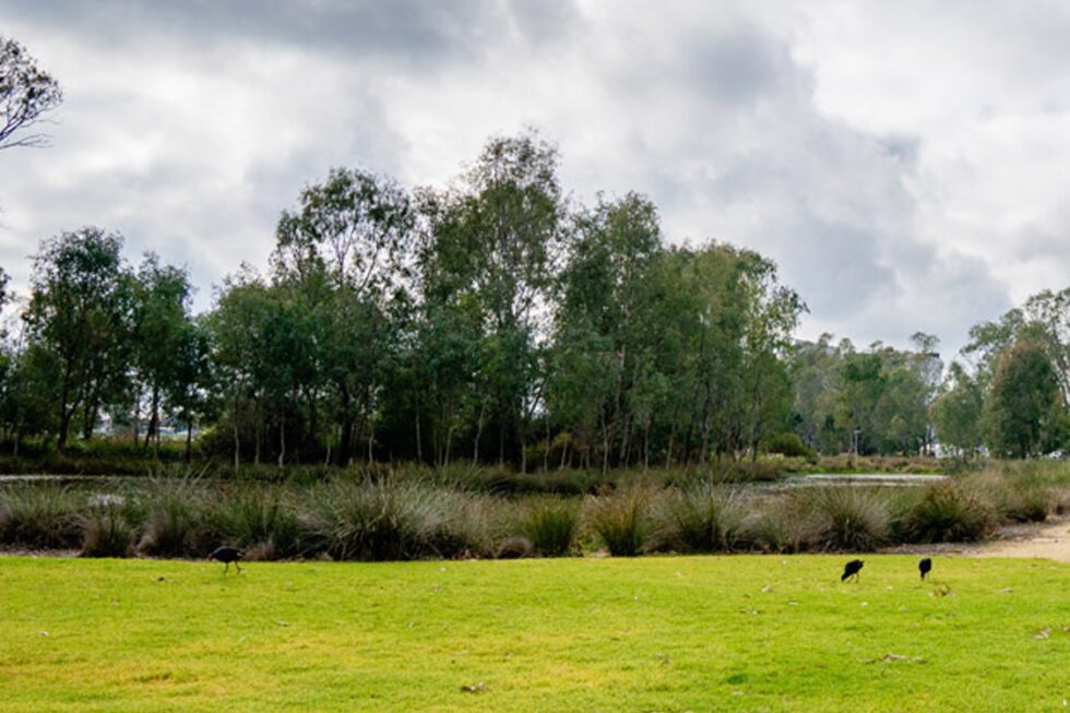 Victoria Lake Holiday Park