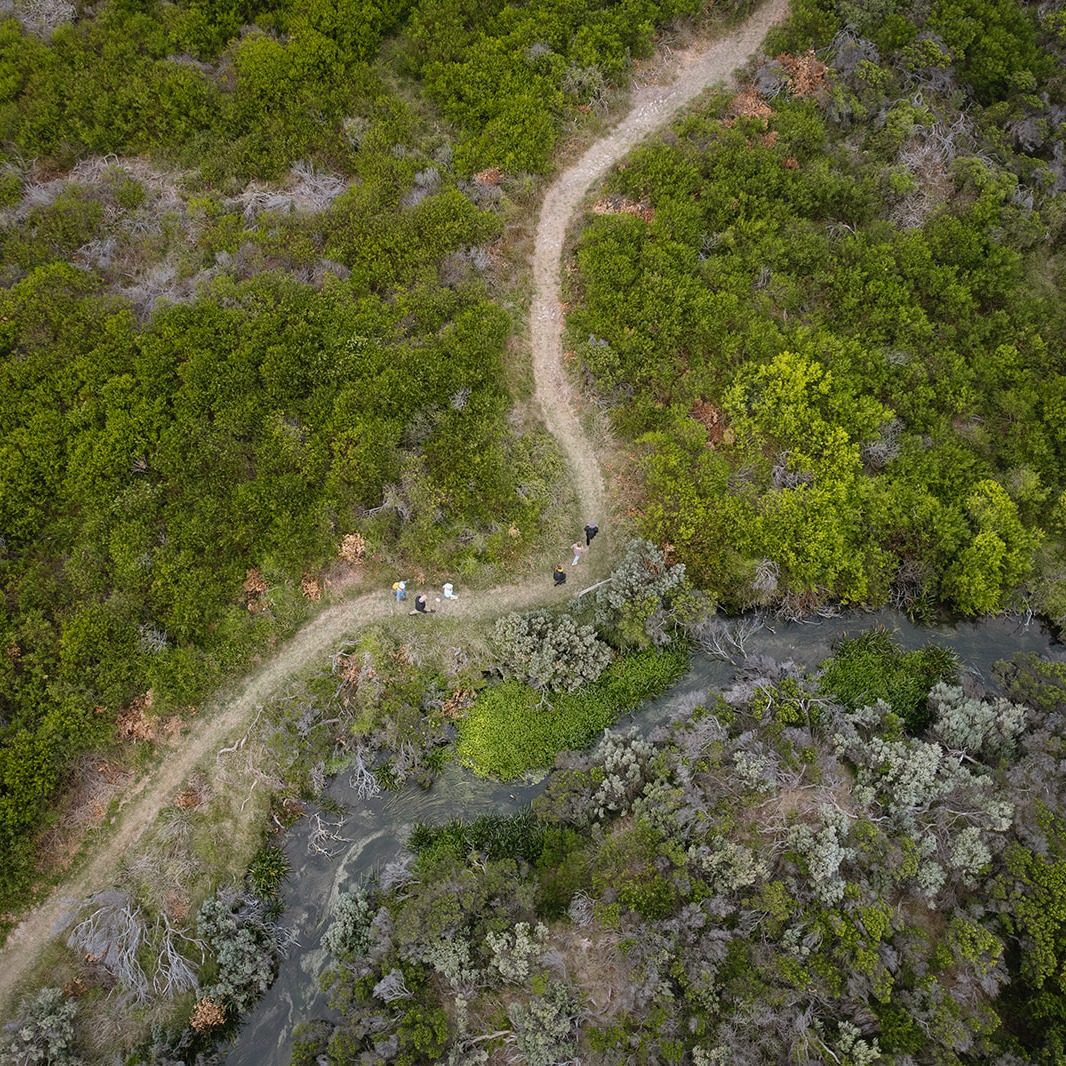 Limestone Coast Tourist Park