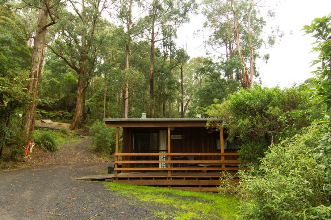 Tarra Valley Caravan Park - Image 4