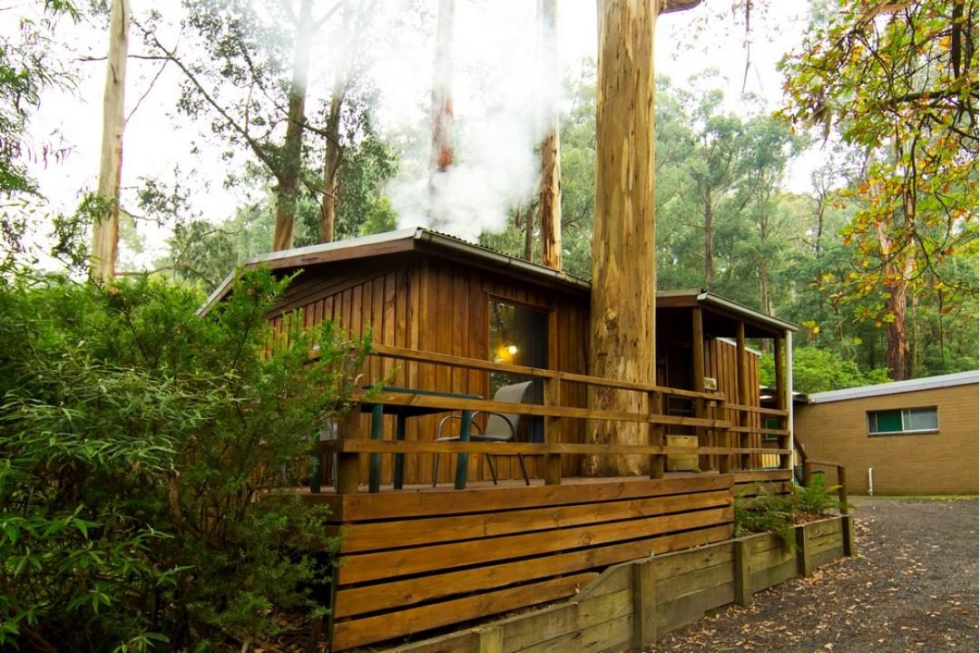 Tarra Valley Caravan Park - Main image
