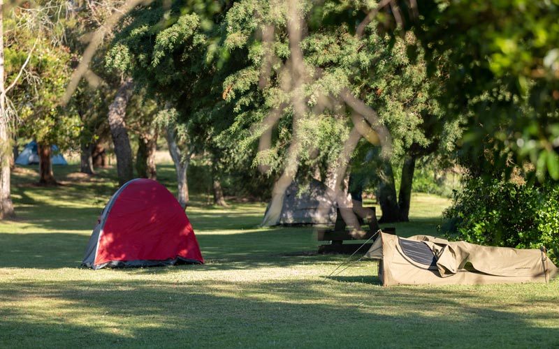 Pine Country Caravan Park