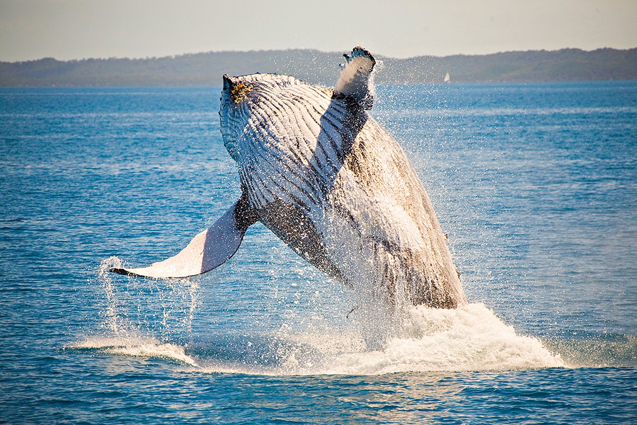 Ingenia Holidays Hervey Bay - Image 2