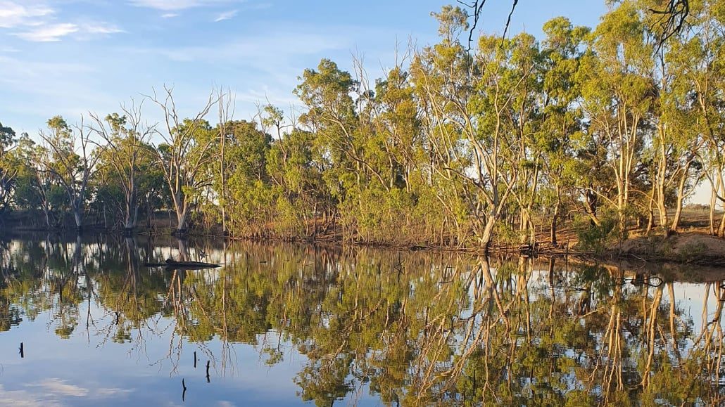 Pioneer Tourist Park Deniliquin - Image 3