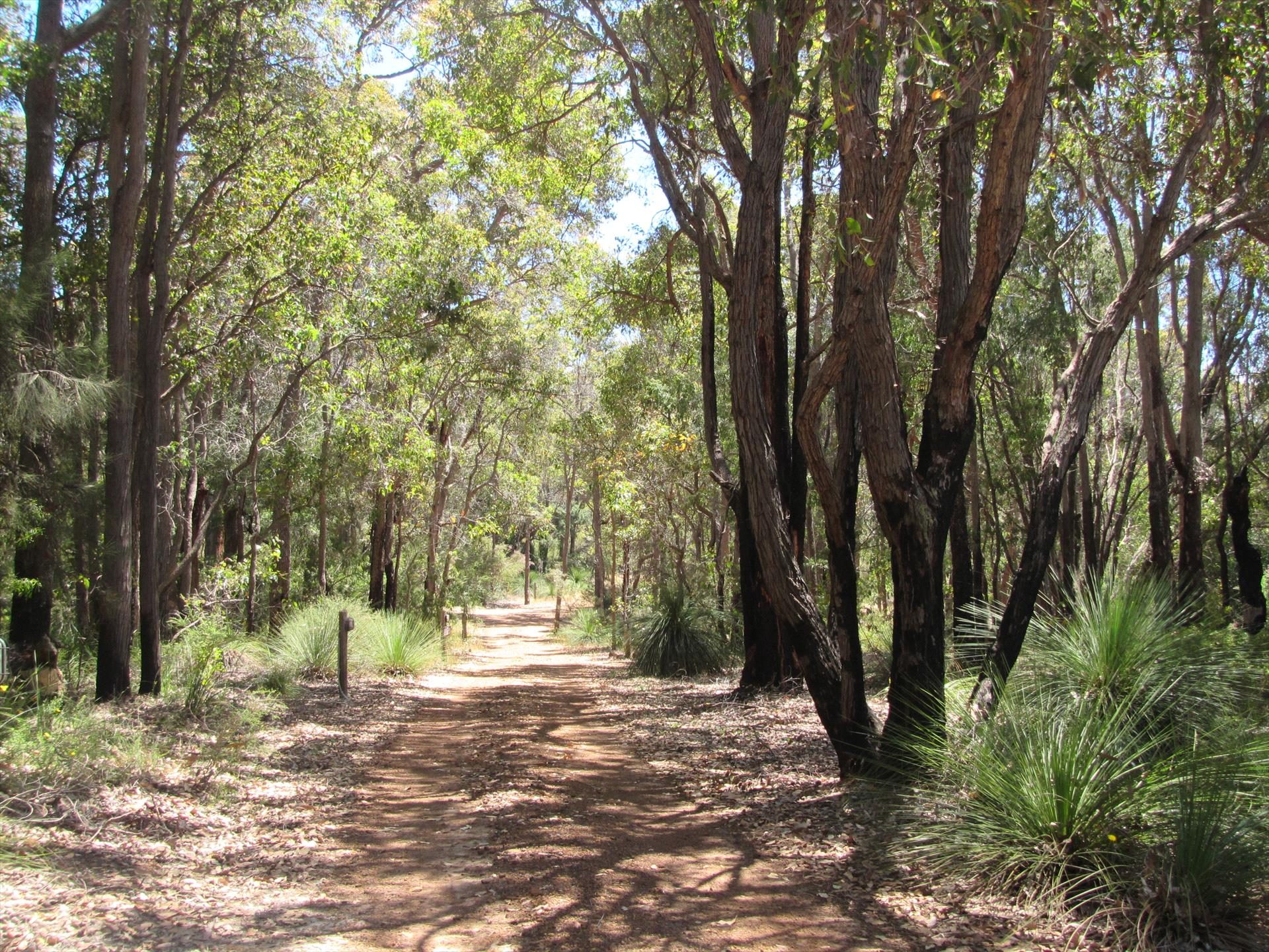 Hidden Valley Tourist Park in Kununurra, WA — photo 4