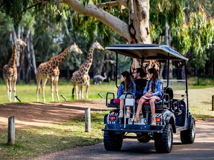 Dubbo Midstate Caravan Park - Main image