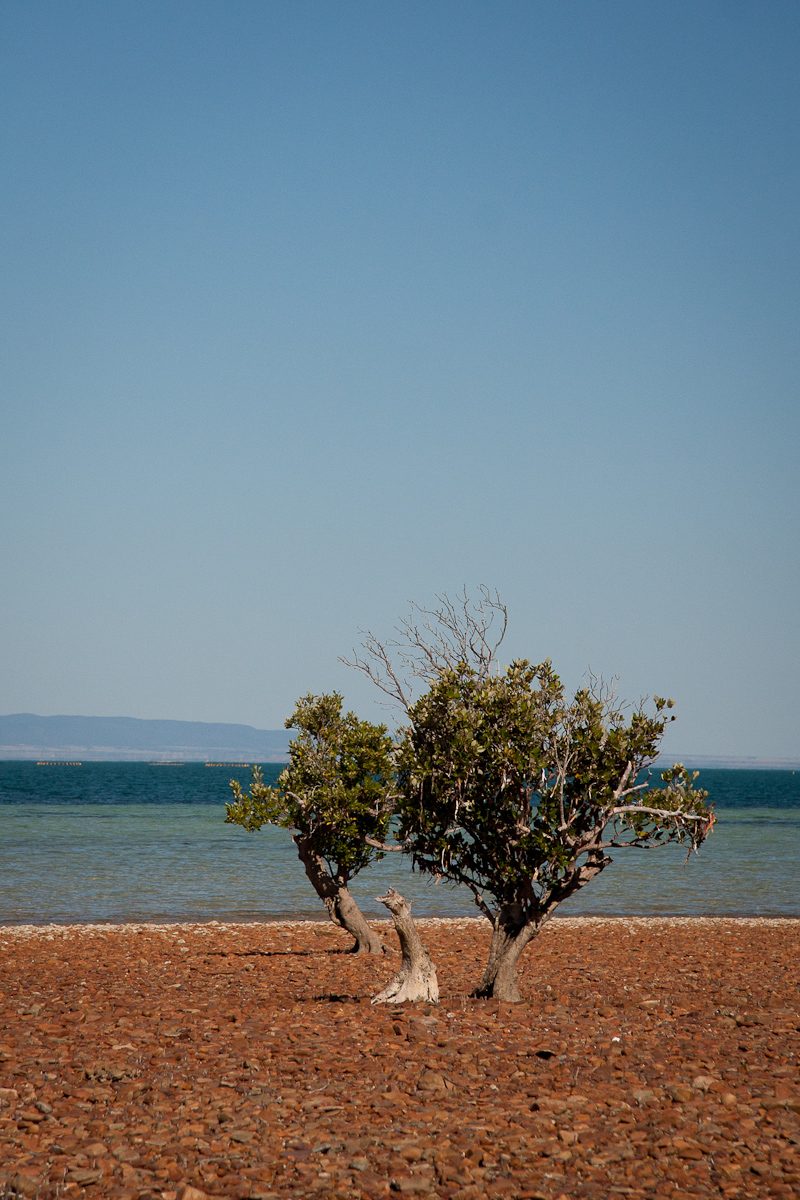 Fitzgerald Bay Camping Areas — Whyalla, SA