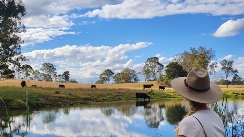 Yarraman Caravan Park and Cabins - Main image