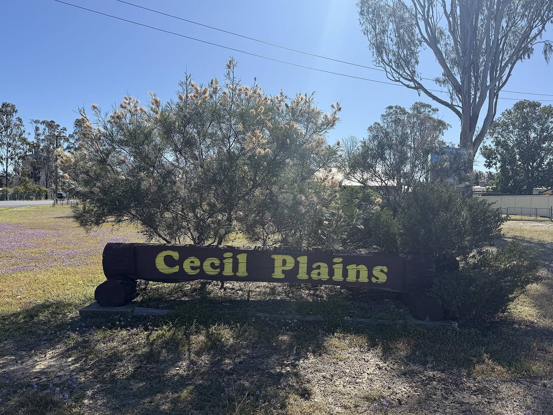 Cecil Plains Apex Park — Cecil Plains, QLD