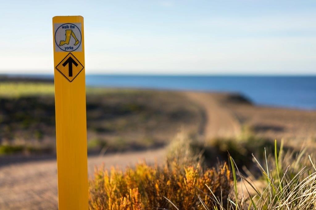 Marion Bay Caravan Park - Image 2