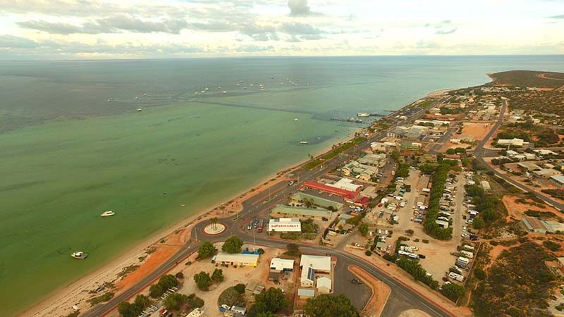 Blue Dolphin Caravan Park and Holiday Village - Image 5
