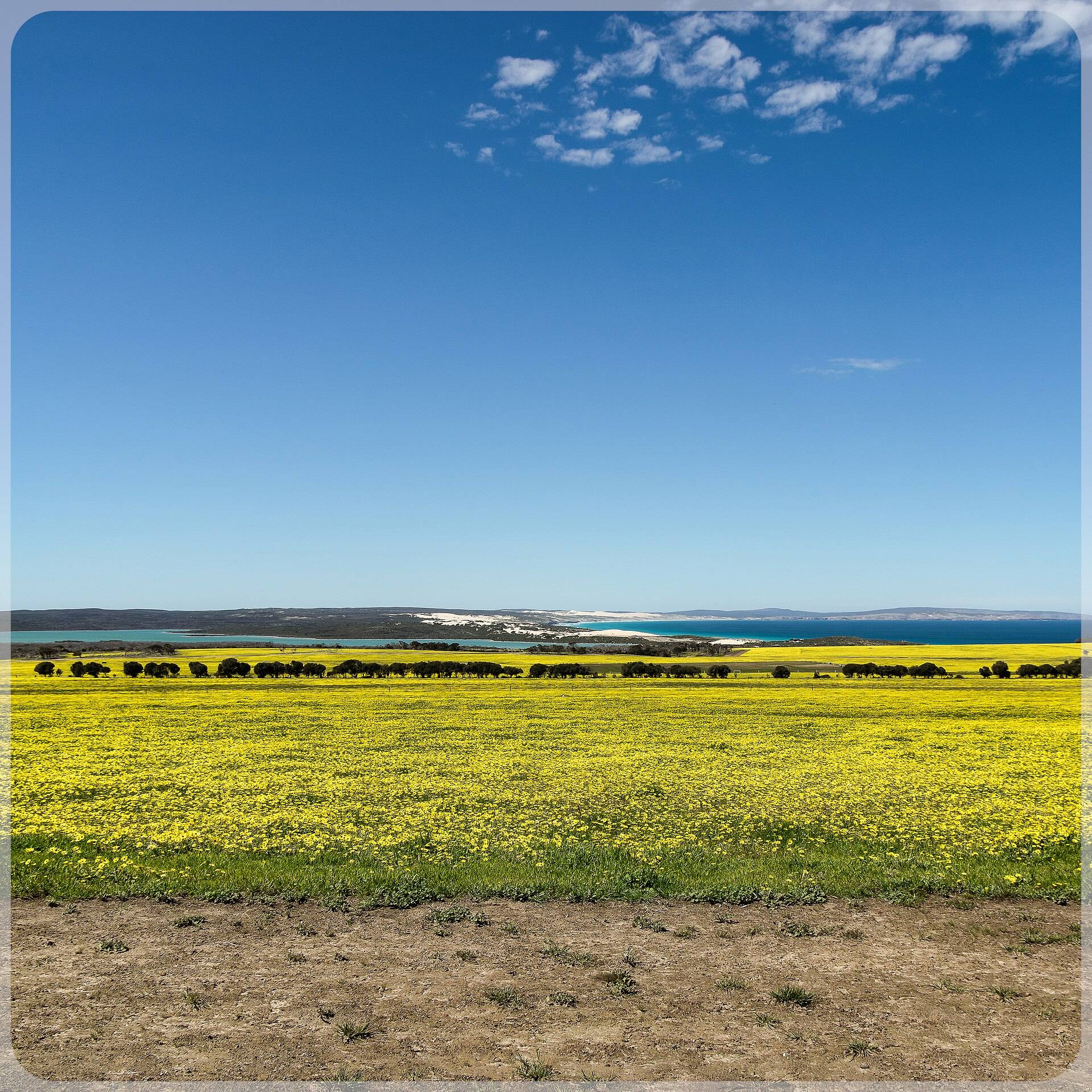 Nullarbor Crossing — photo 1