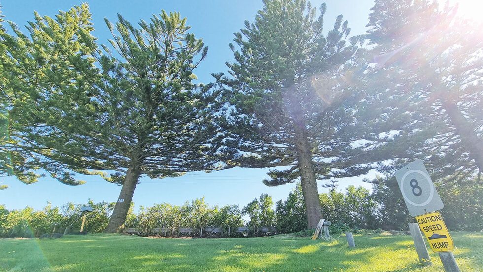 Port MacDonnell Foreshore Tourist Park - Image 4