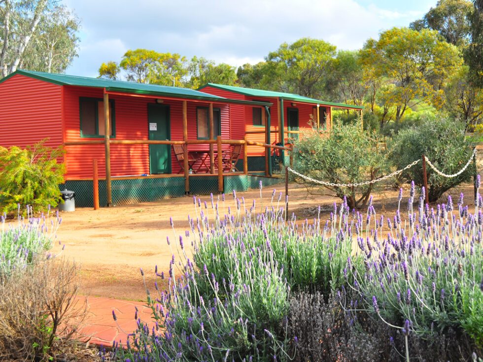 Toodyay Caravan Park - Image 4