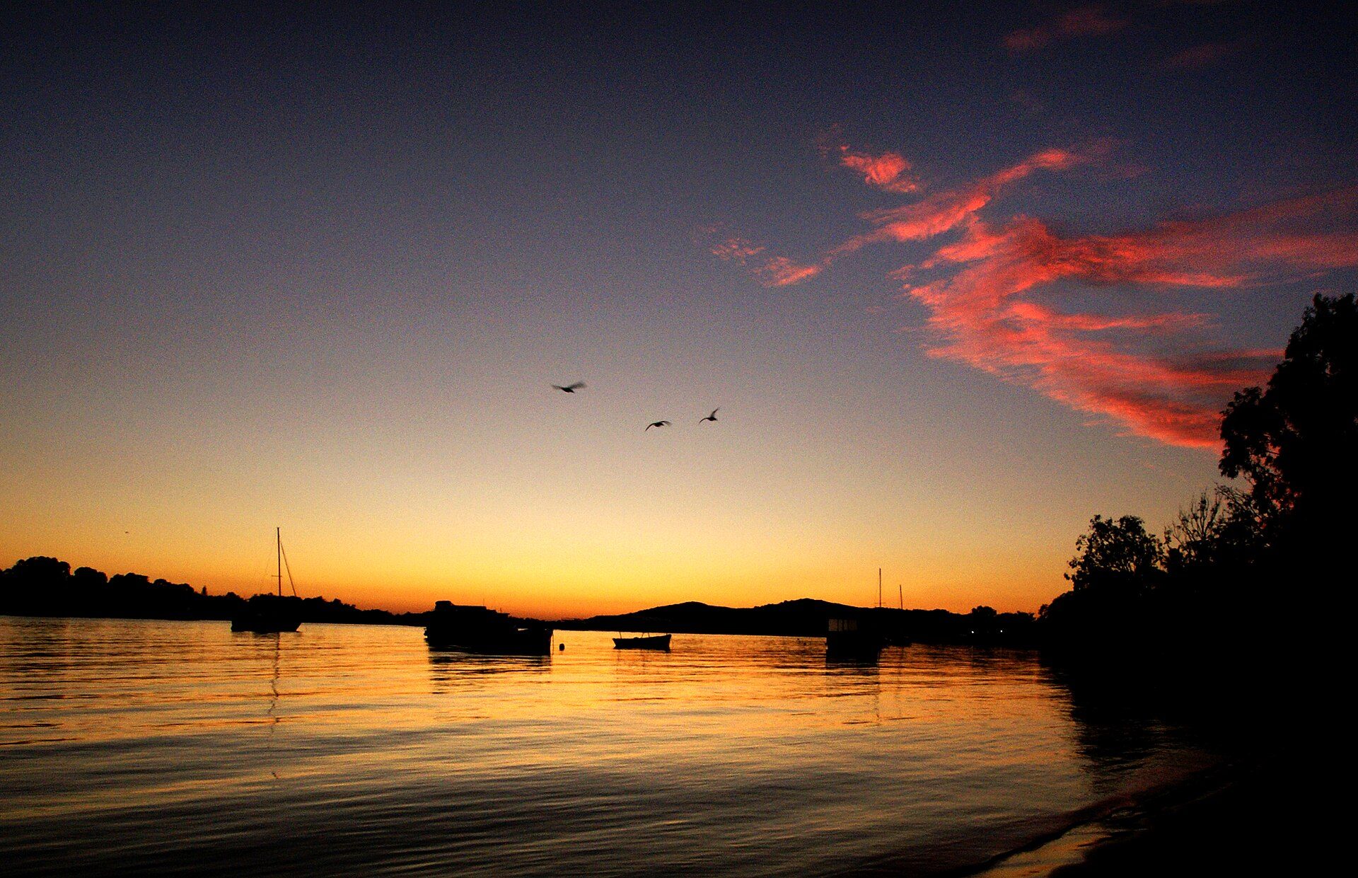 Noosa River Holiday Park in Noosaville, QLD — photo 1