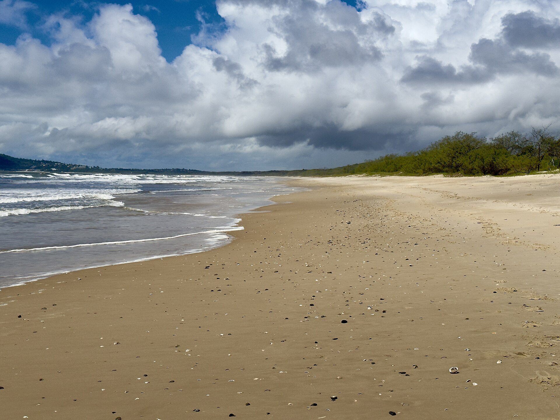 Noosa North Shore Beach Campground — Noosa North Shore, QLD