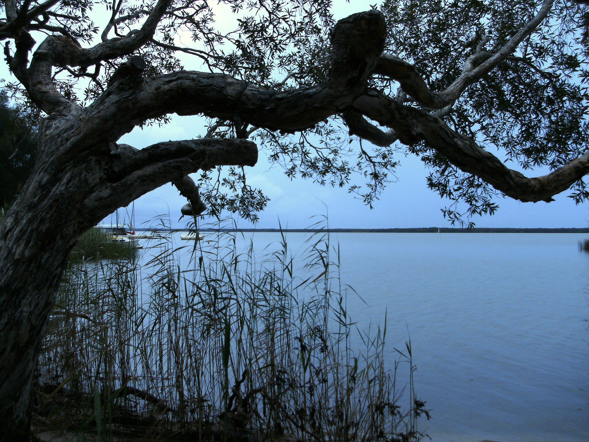 Boreen Point Campground in Boreen Point, QLD — photo 3