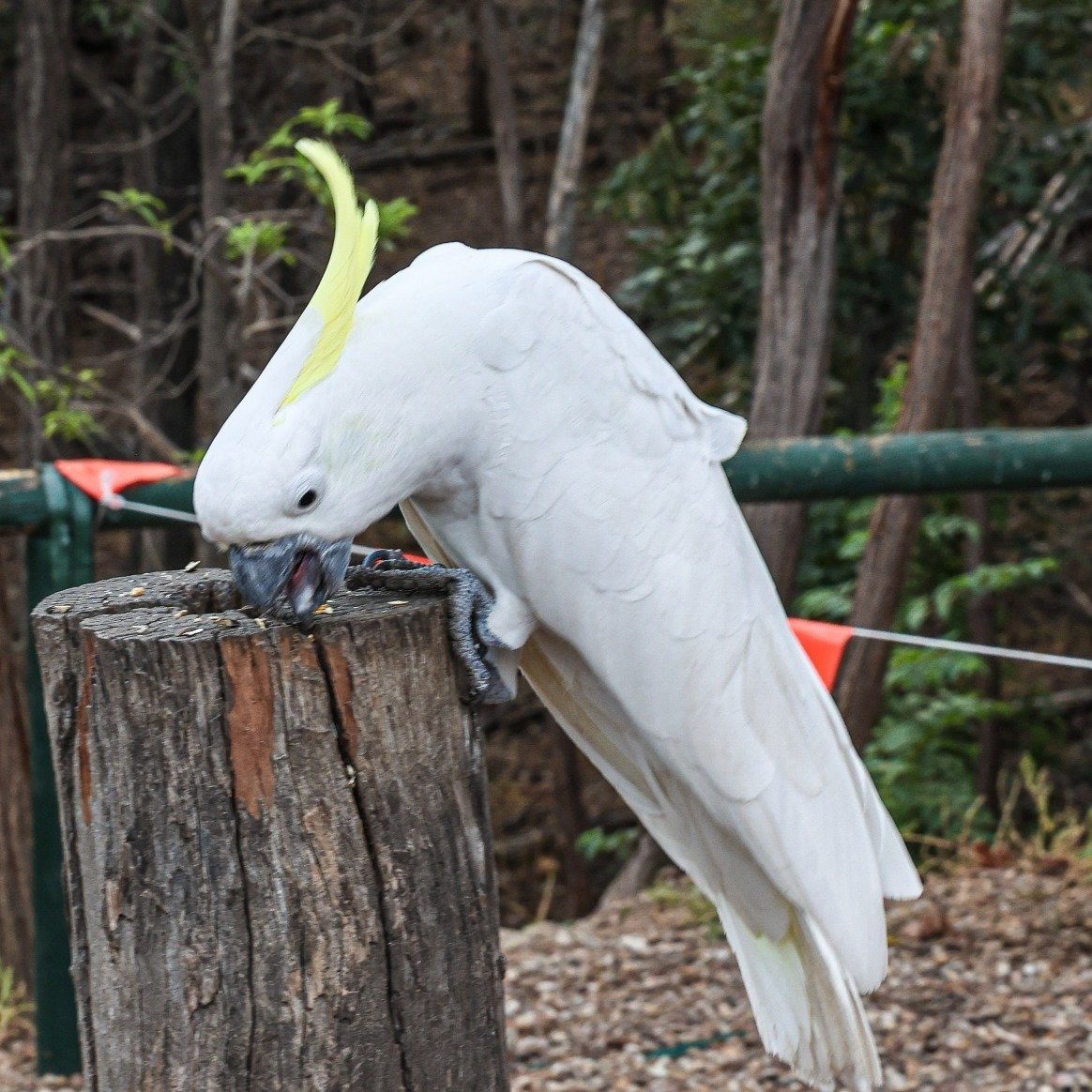 Sapphire Caravan Park - Image 5