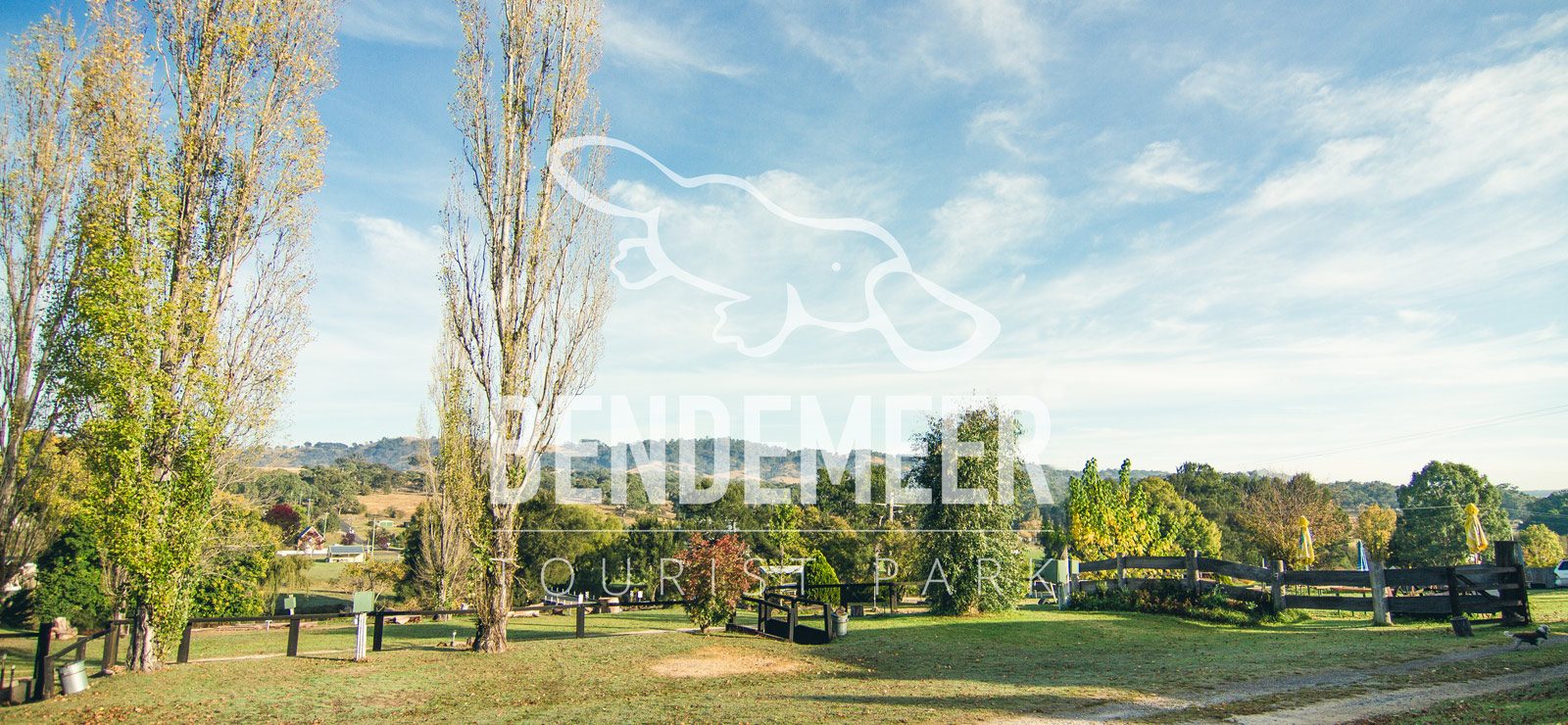 Bendemeer Tourist Park - Image 2