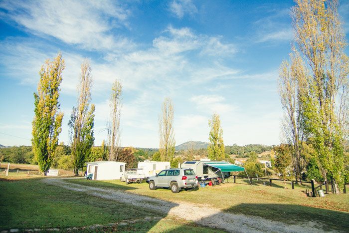 Bendemeer Tourist Park - Main image