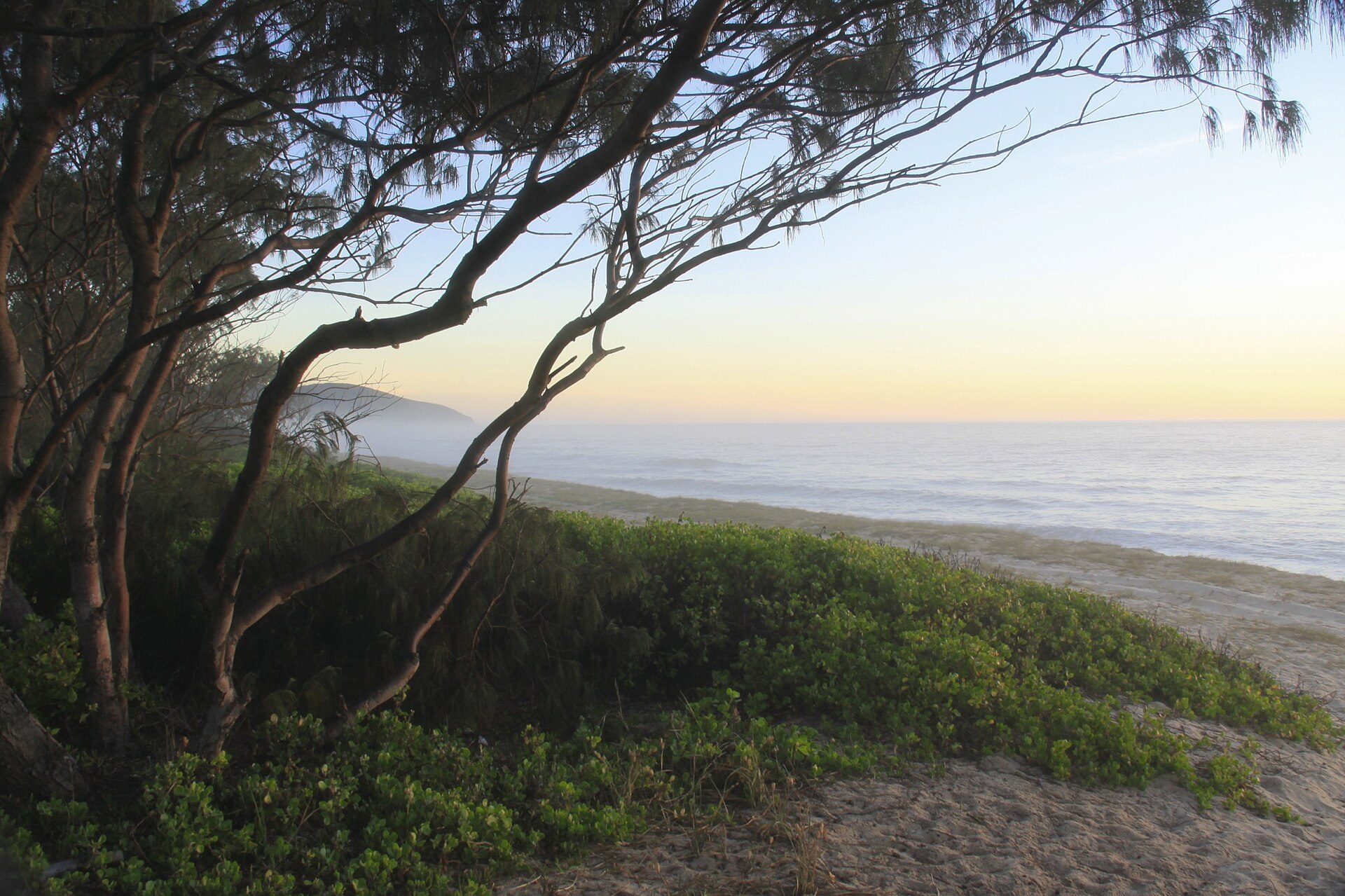 Camp Elim — Forster, NSW