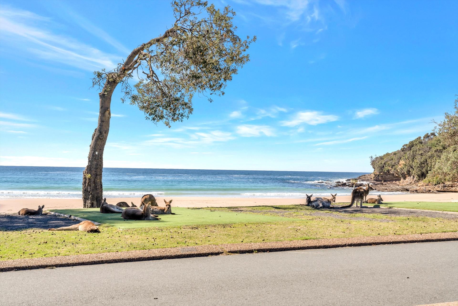 Merry Beach Caravan Resort in Kioloa, NSW — photo 4