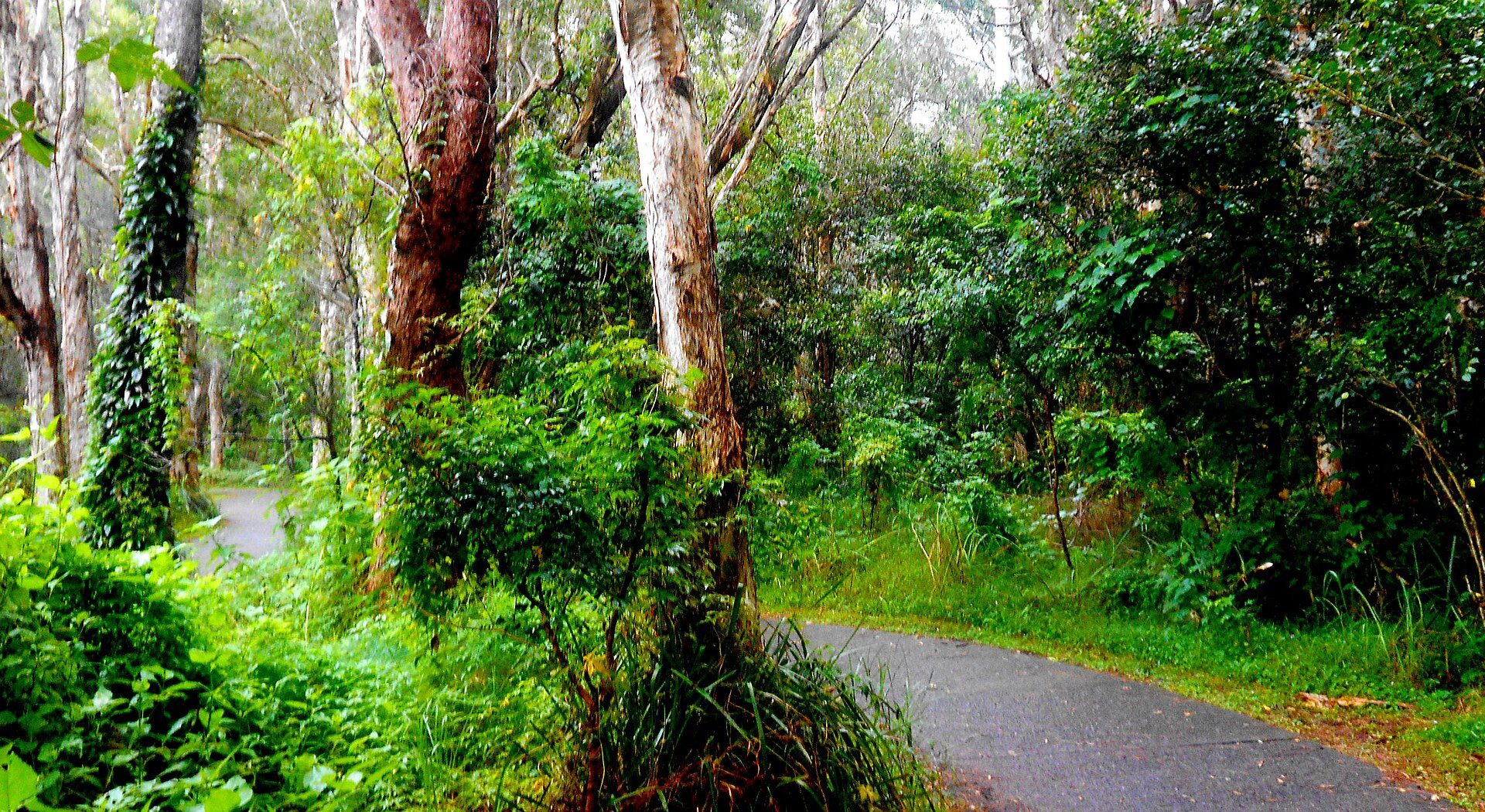 Brigadoon Holiday Park in North Haven, NSW — photo 1