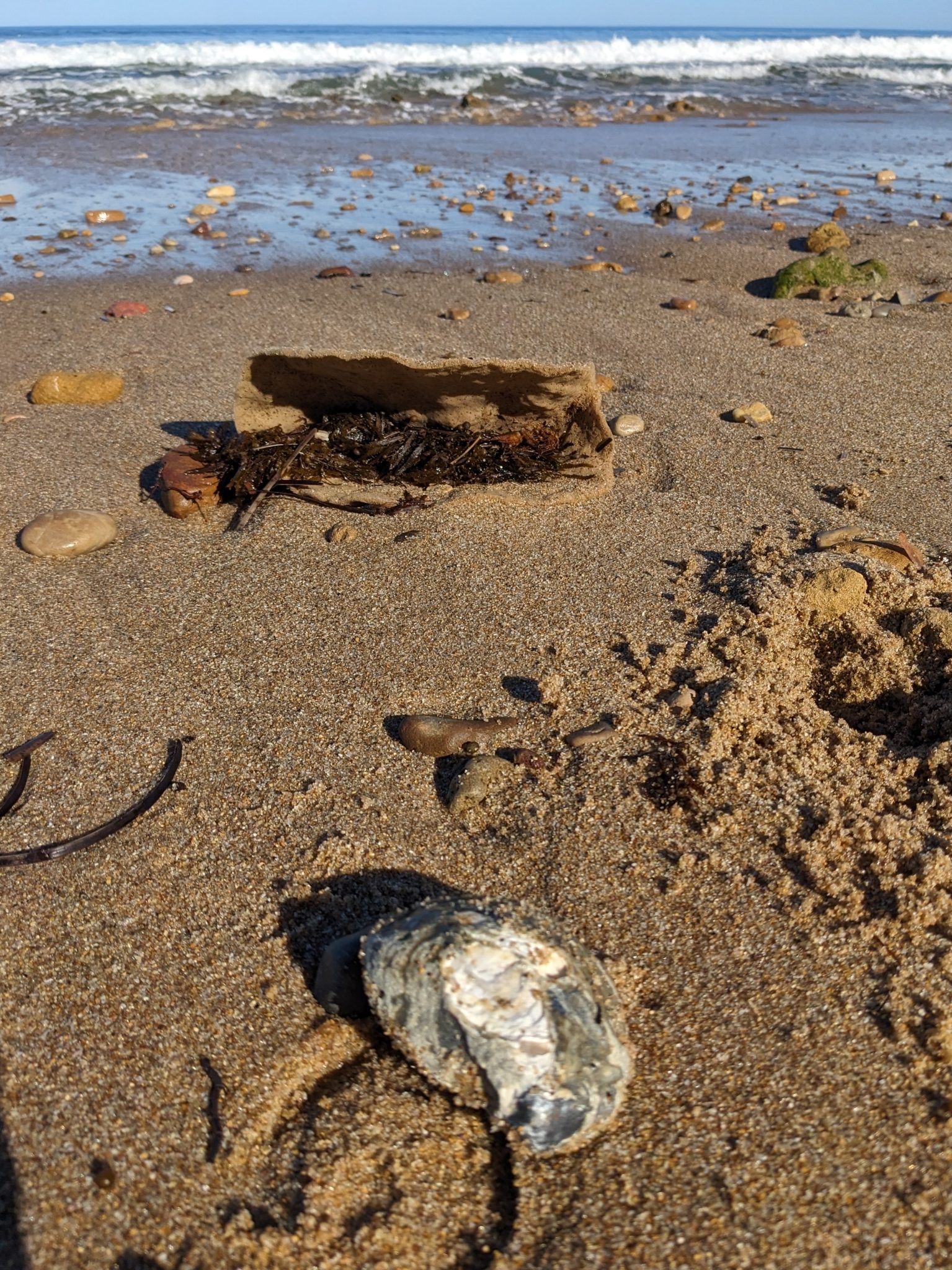 Moana Beach Tourist Park in Moana, SA — photo 3