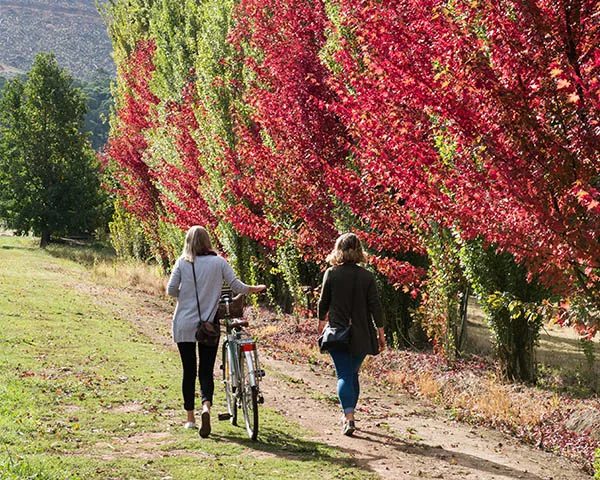 NRMA Bright Holiday Park - Image 4