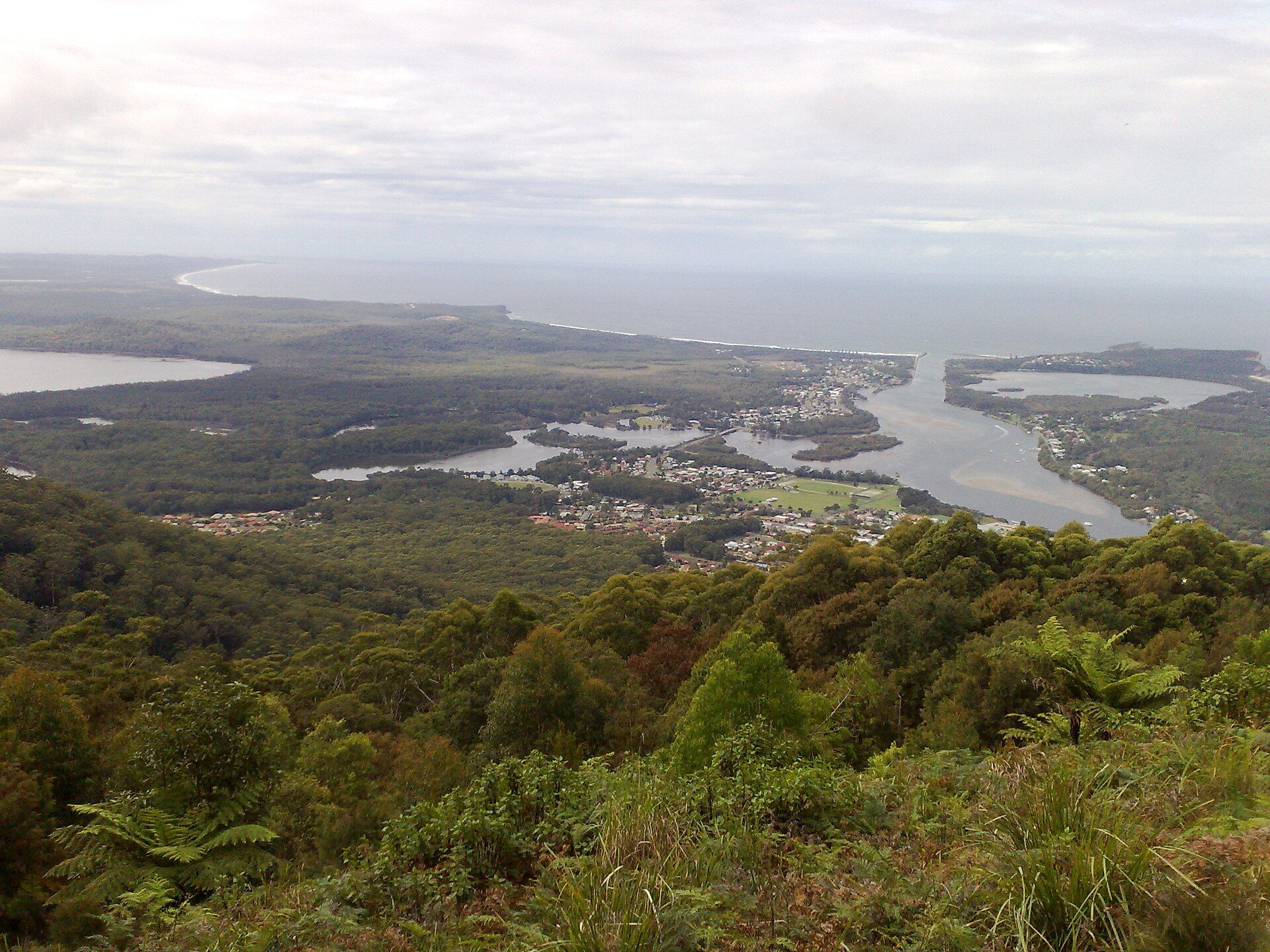North Brother Lookout in North Brother, NSW — photo 1