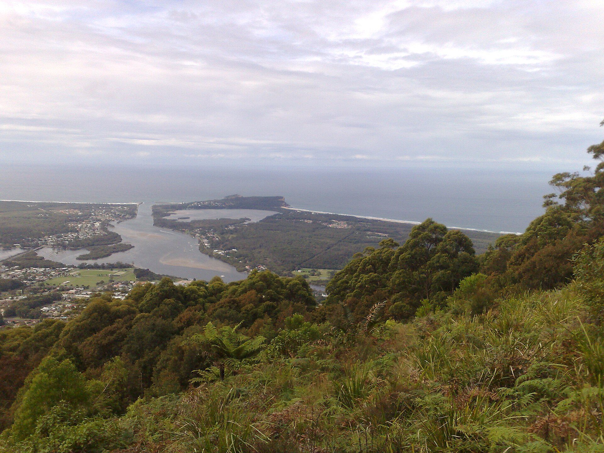 North Brother Lookout in North Brother, NSW — photo 3