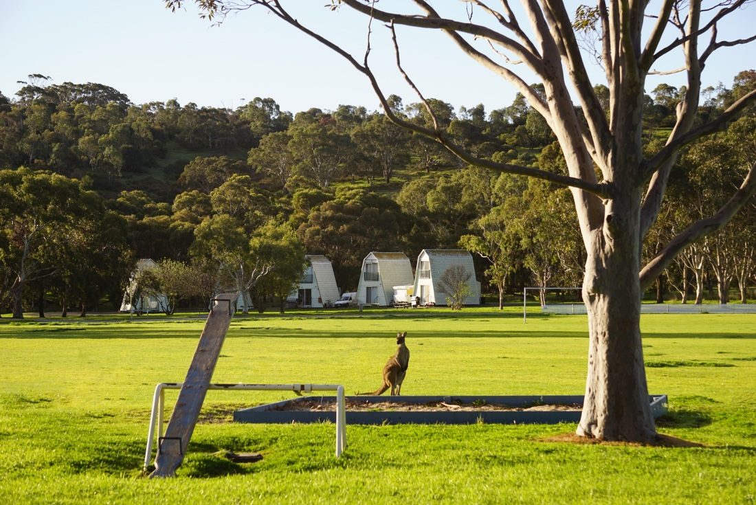 Wirrina Cove Caravan Park