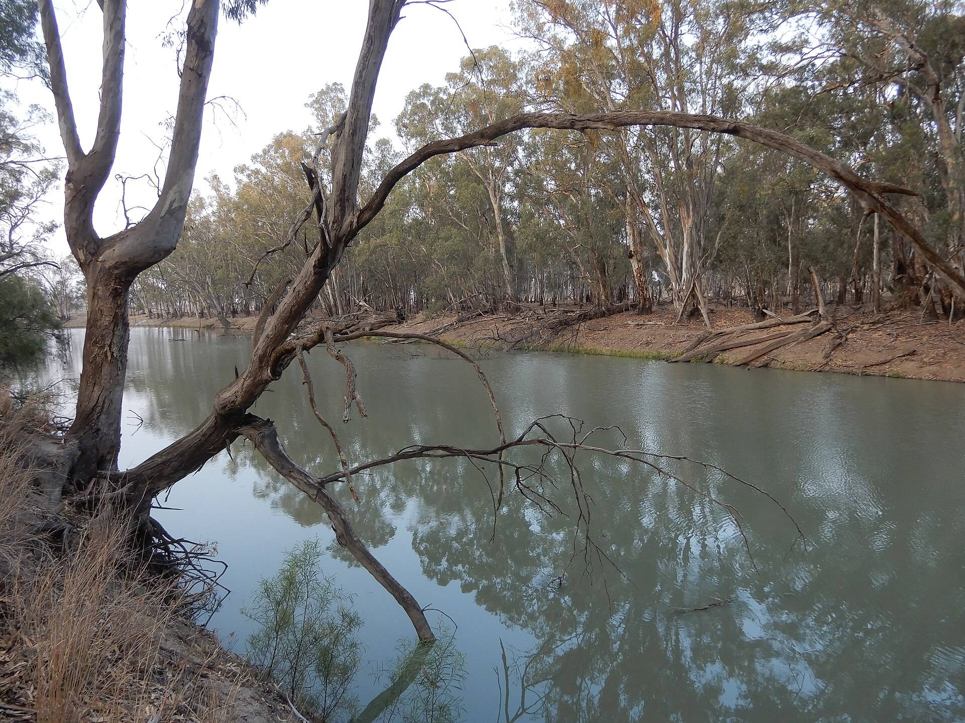 Mamanga Campground — Balranald, NSW