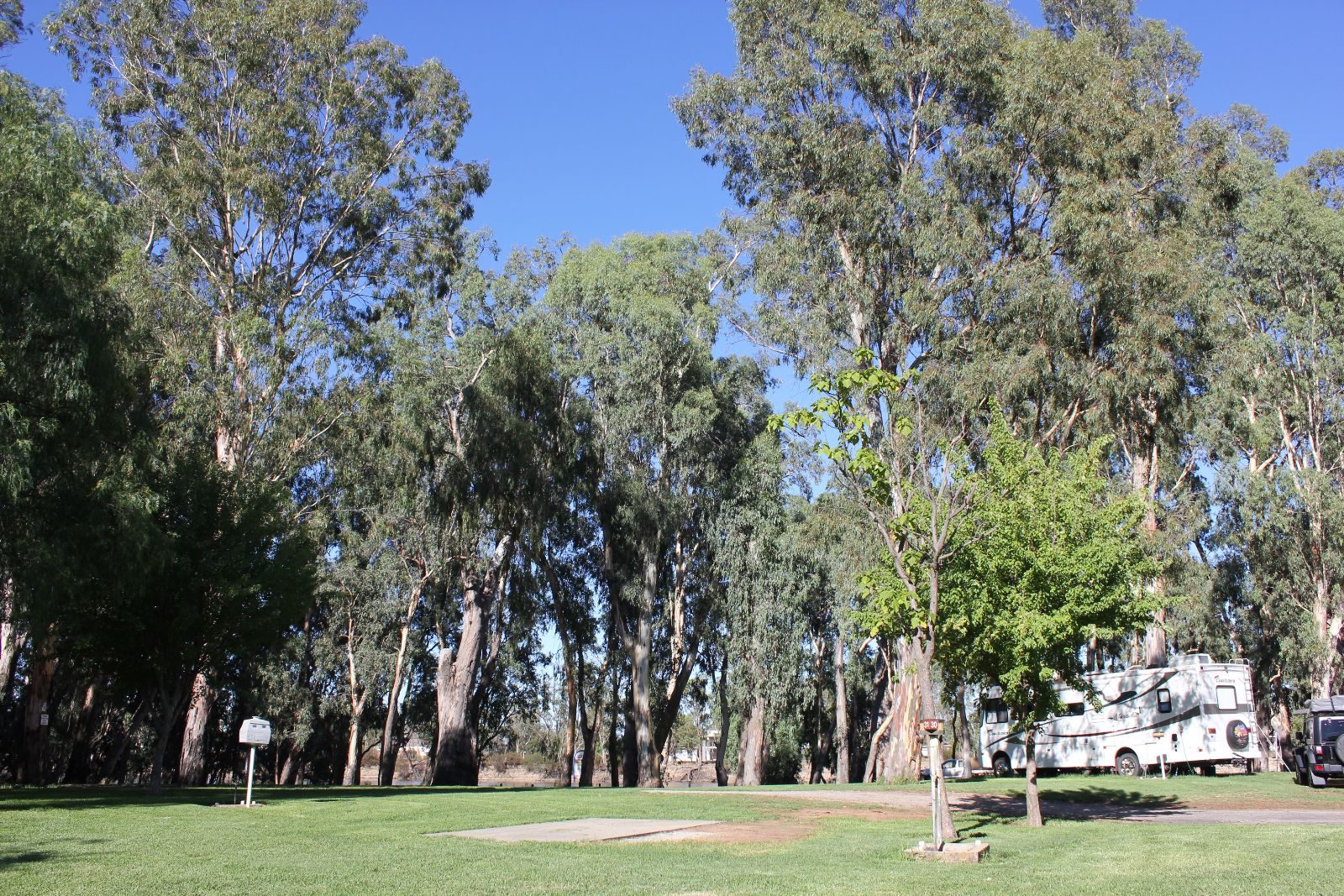Barham Caravan and Tourist Park - Main image