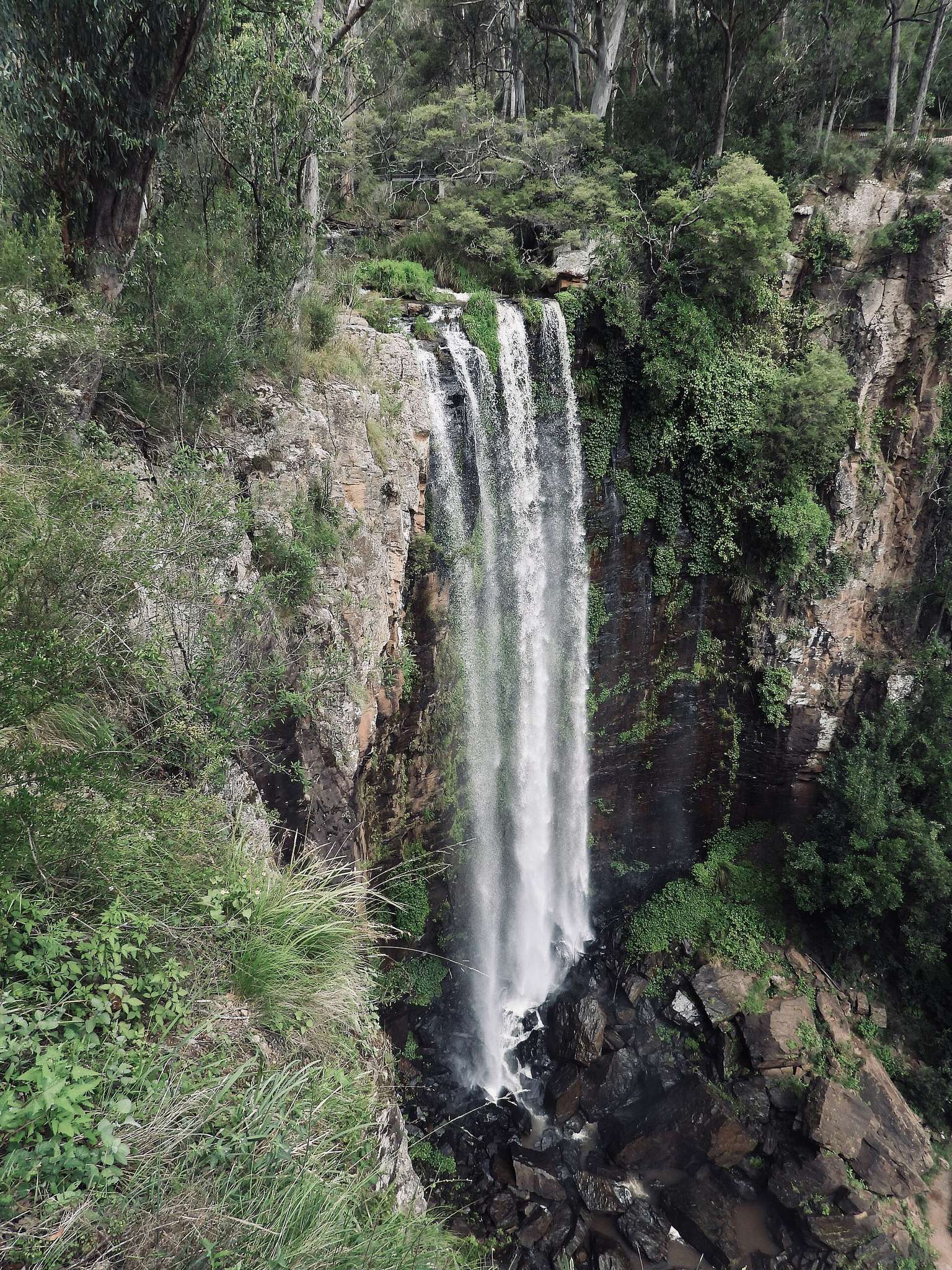 Queen Mary Falls Caravan Park and Cabins — Killarney, QLD
