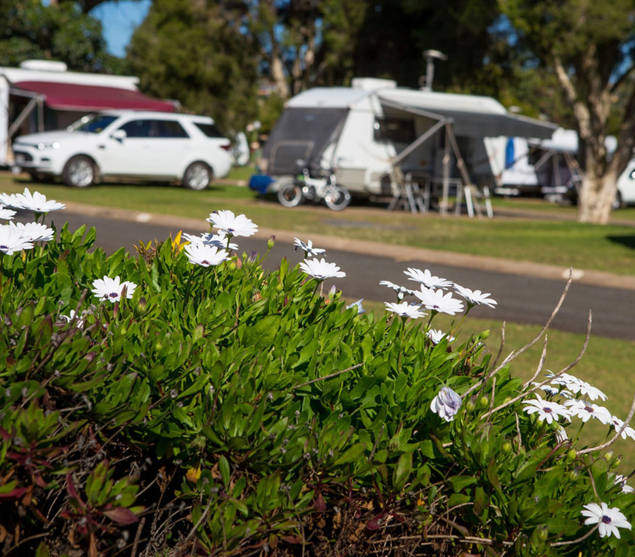 Toowoomba Motor Village - Image 4