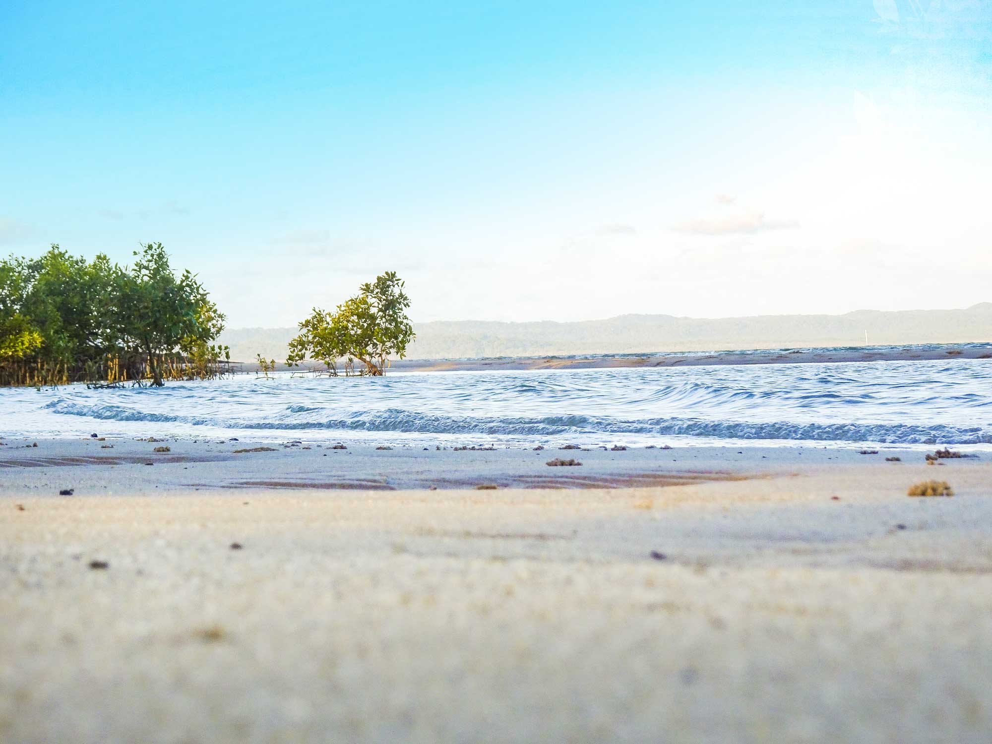 Poona Palms Caravan Park - Main image