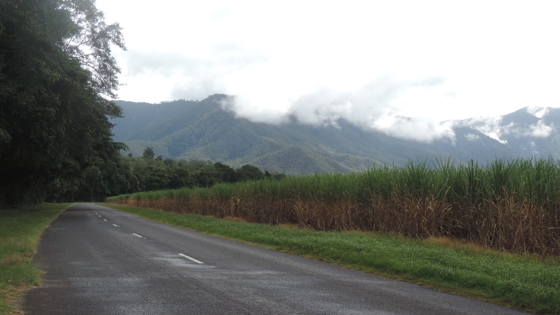 Great Barrier Reef Drive — photo 1