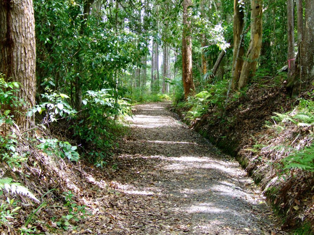 Forest Glen Holiday Resort — Forest Glen, QLD
