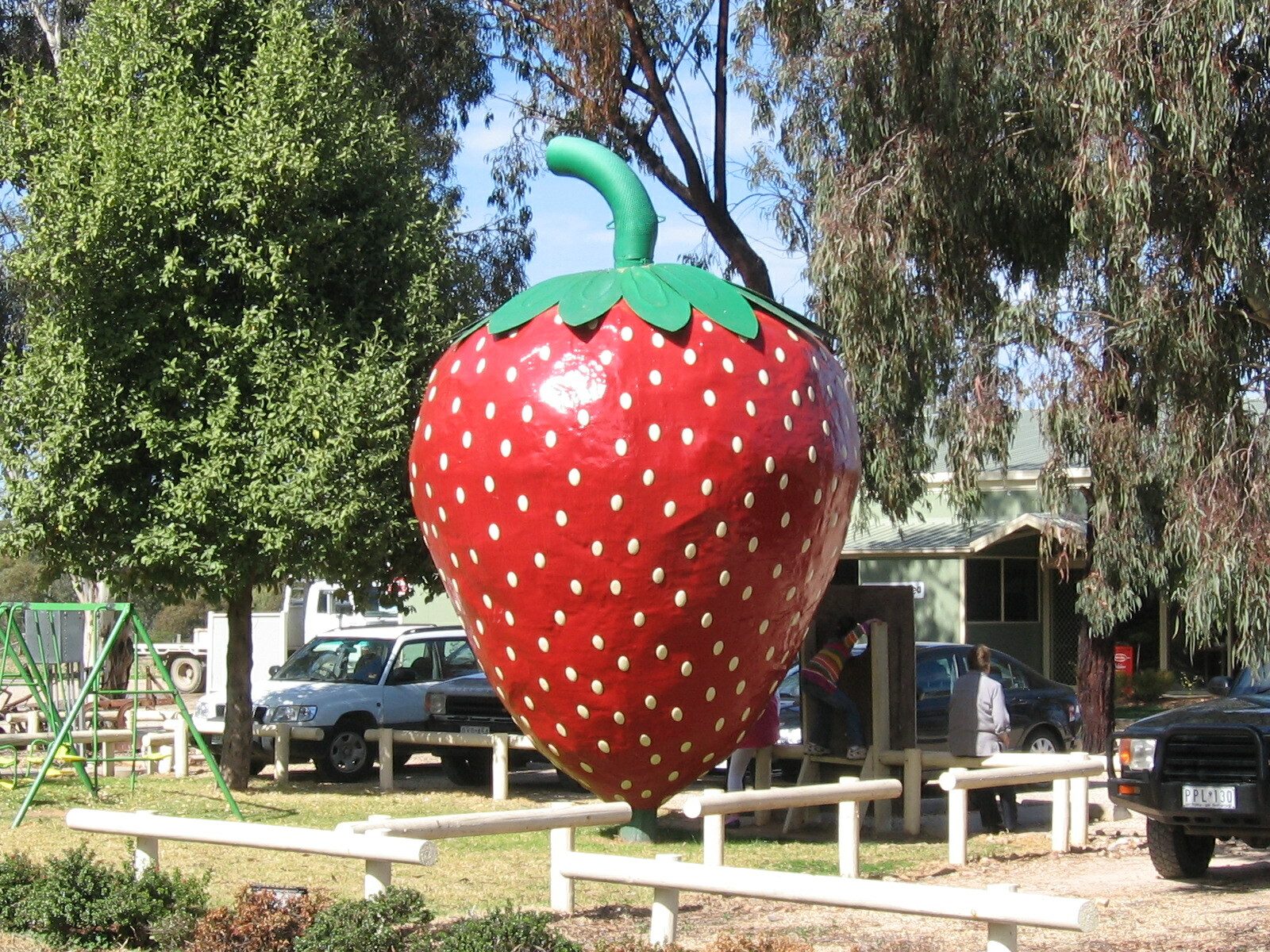 Murray River Road — photo 1