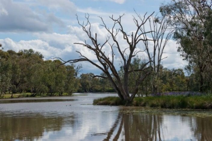 Numurkah Caravan Park - Image 3