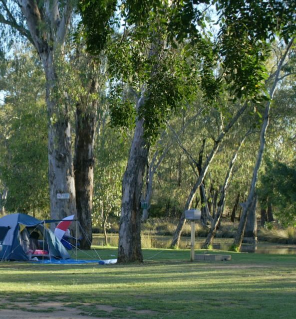 Numurkah Caravan Park - Image 4