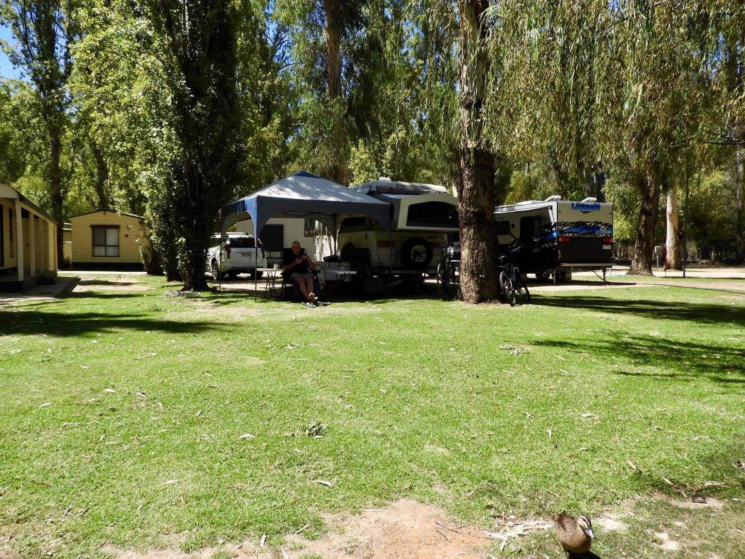 Murraybank Caravan Park - Main image