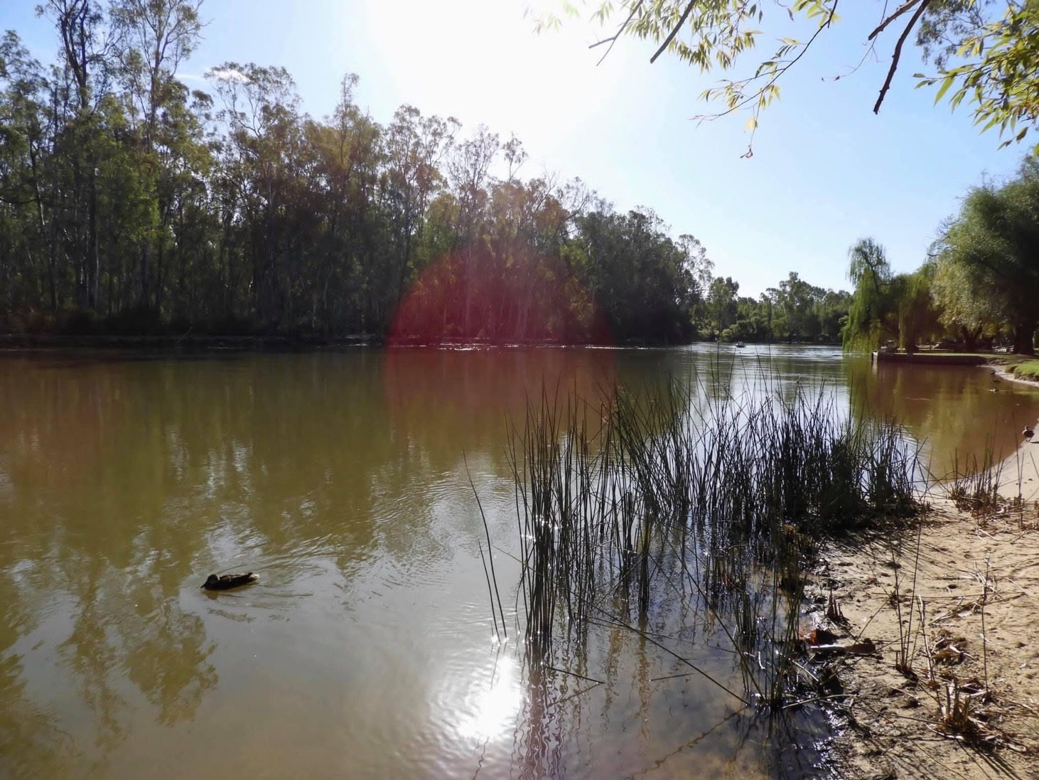 Murraybank Caravan Park