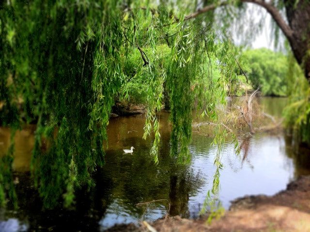 Dunolly Caravan Park - Main image