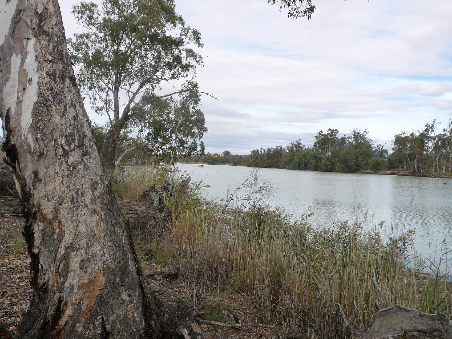 Murray River Road — photo 1