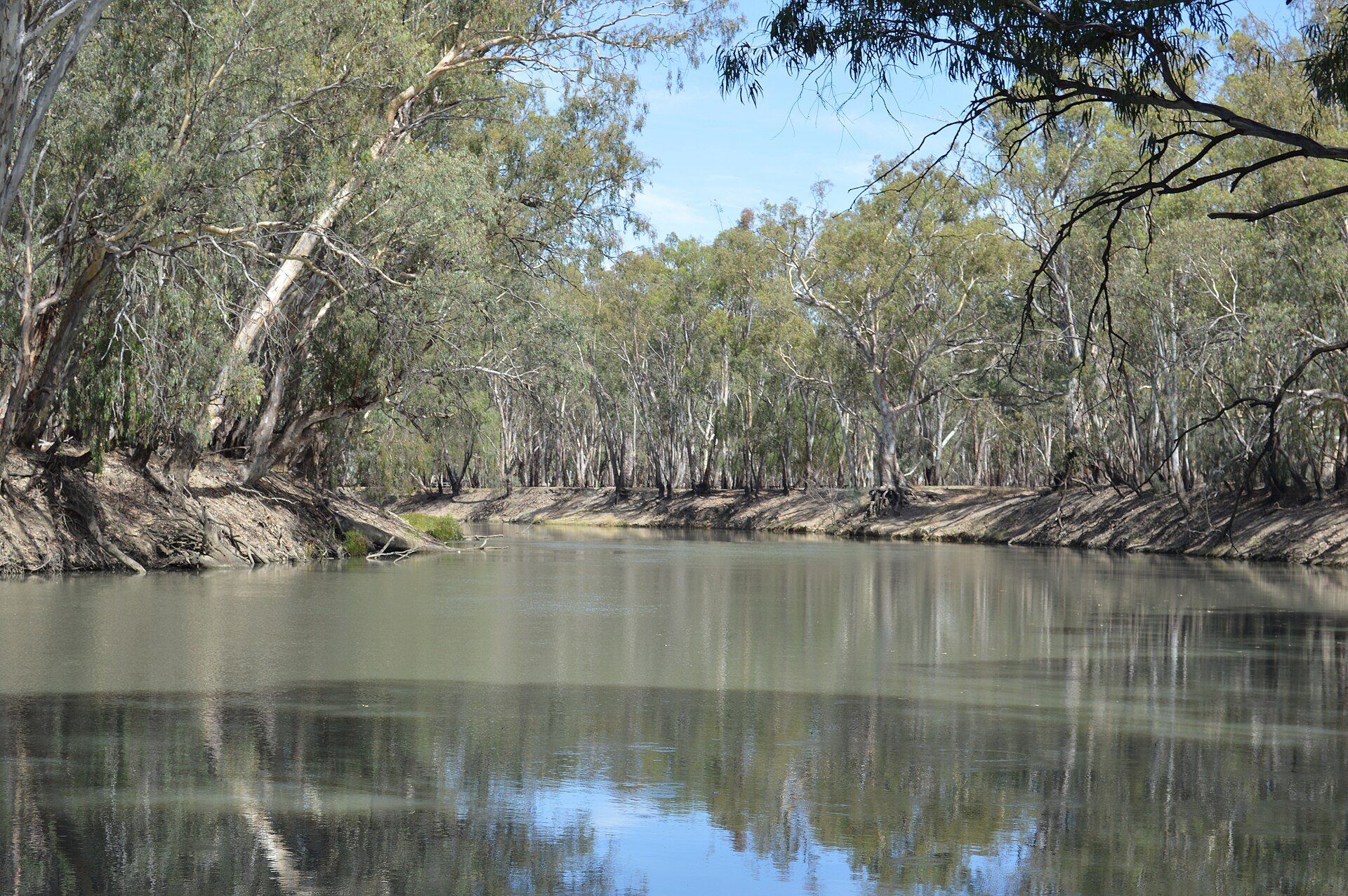 Balranald Picnic Area — Balranald, NSW