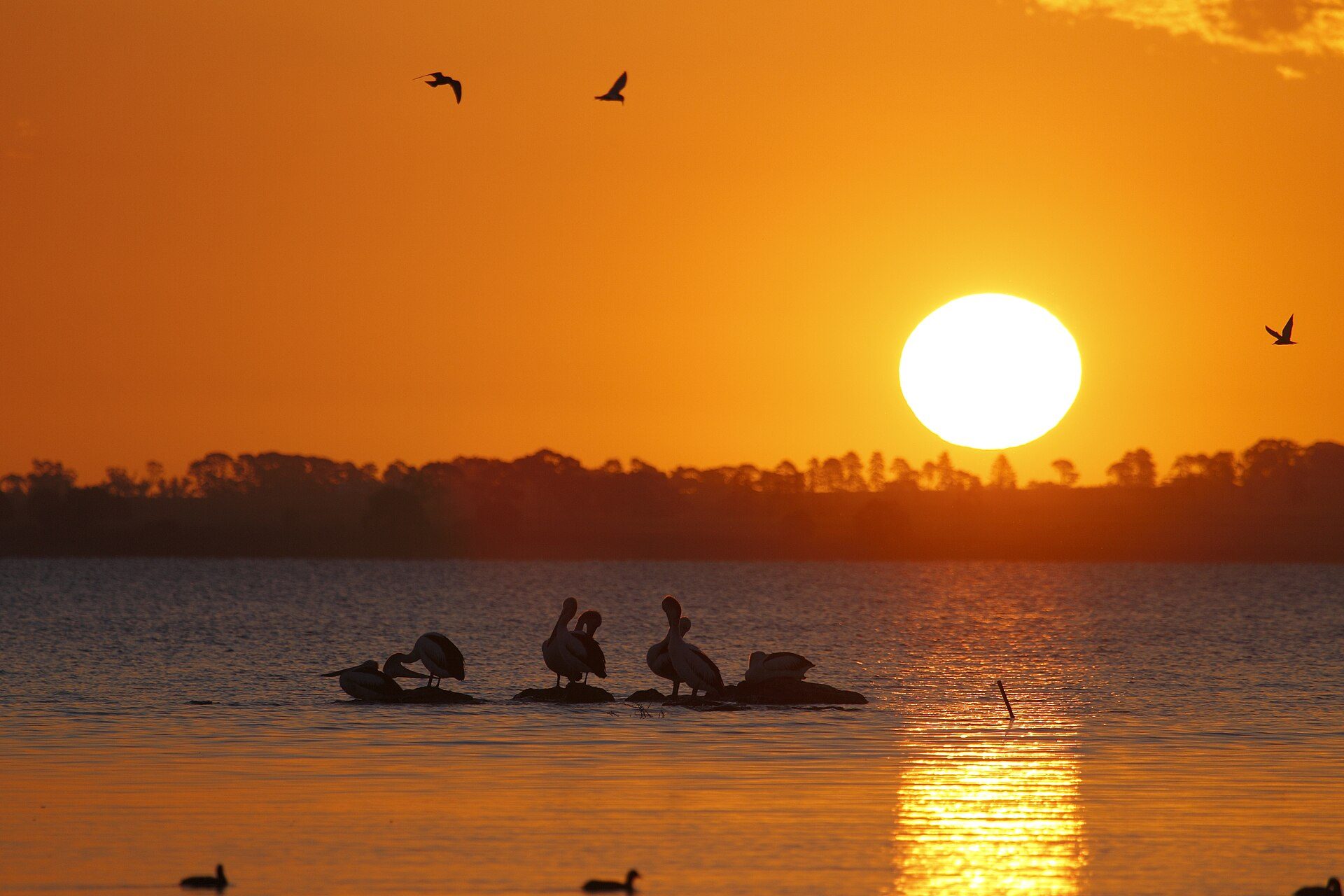 Lake Burrumbeet Caravan Park — Burrumbeet, VIC