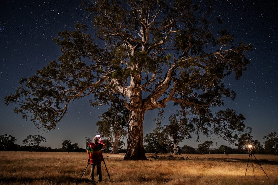 Grampians Paradise Camping and Caravan Parkland - Image 4