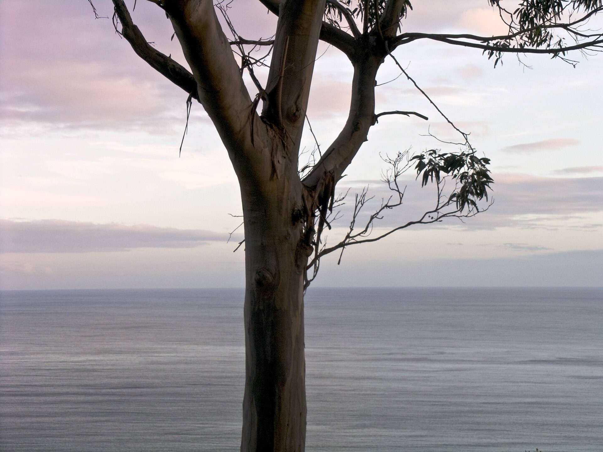 Skenes Creek Beachfront Park