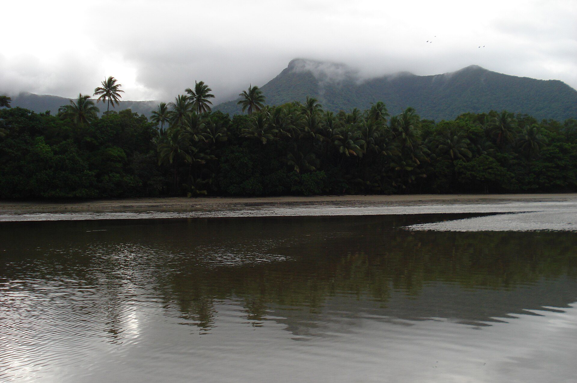 Cape Tribulation Camping — Cape Tribulation, QLD